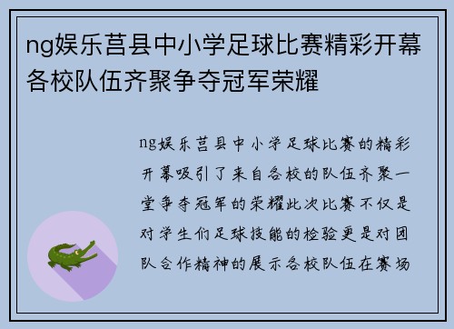 ng娱乐莒县中小学足球比赛精彩开幕各校队伍齐聚争夺冠军荣耀